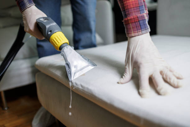 Person cleaning a microfiber couch with a vacuum cleaner to maintain its appearance and longevity.